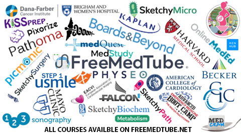 freemedtube boards and beyond videos library
